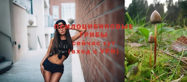 ALPHA PVP Горнозаводск